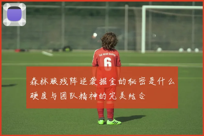森林狼残阵逆袭掘金的秘密是什么硬度与团队精神的完美结合